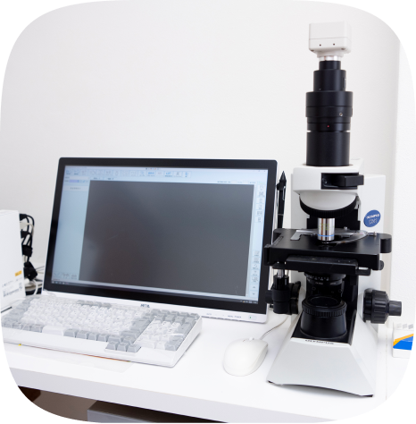 口腔内細菌を検査